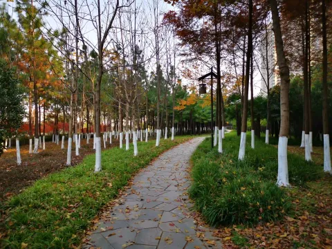 萧山北塘公园秋季的风景