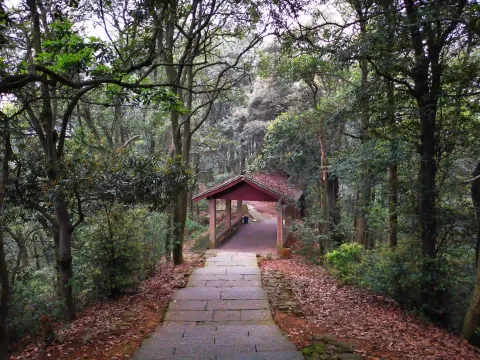 五云山57