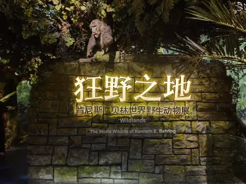 肯尼斯·贝林世界野生动物展