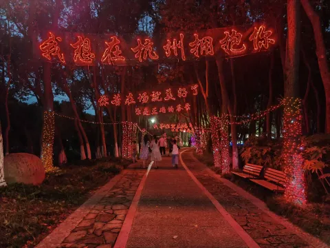皋亭山千桃不夜城8