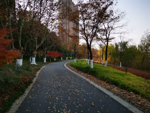 萧山北塘公园秋季的风景