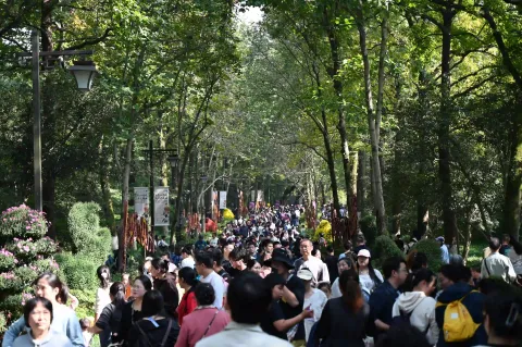 杭州植物园菊花展1