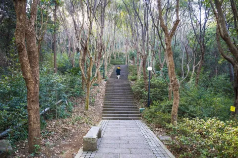 仁皇山爬山走道8
