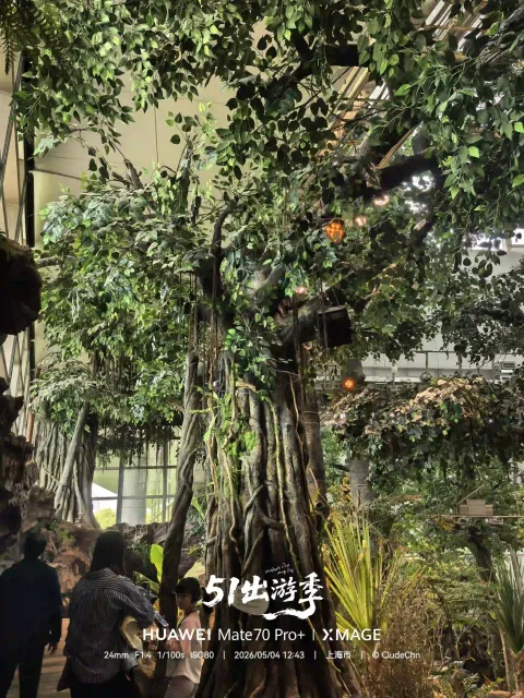 科技馆内的雨林秘境9