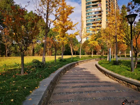 不错的景色