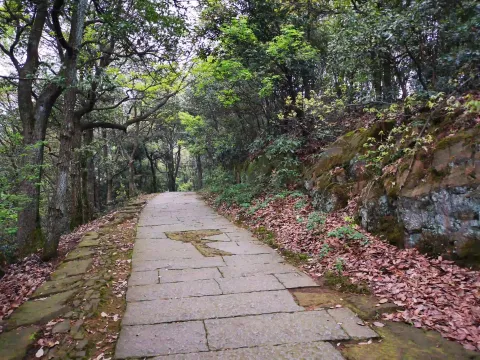 五云山48