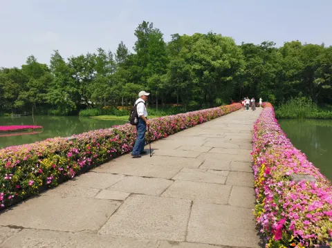 西溪花朝节