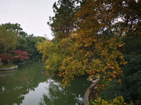 初冬，西湖湖滨的景色