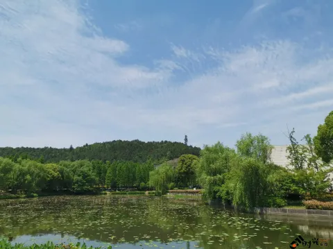 良渚美丽洲公园