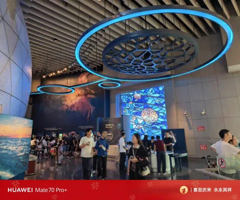 上海自然博物馆4