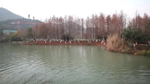 湘湖，湖面的景色