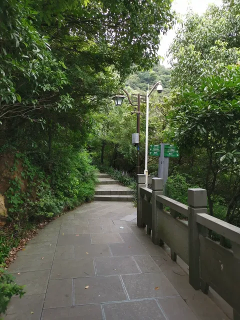 半山国家森林公园5