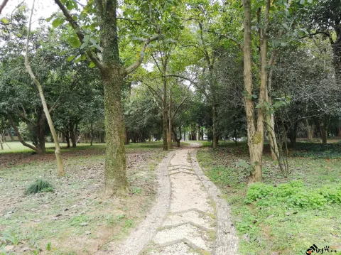 杭州植物园