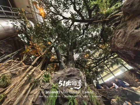 科技馆内的雨林秘境7