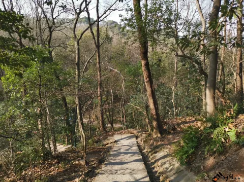 宝石山