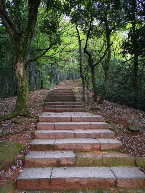 五云山43
