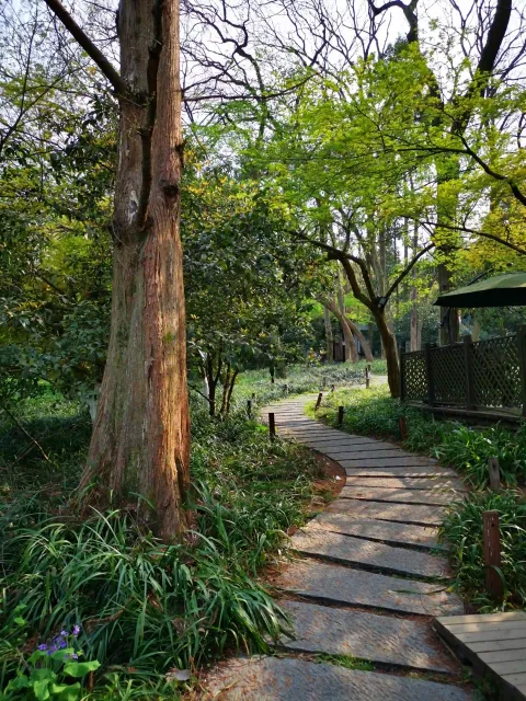 太子湾踏春16