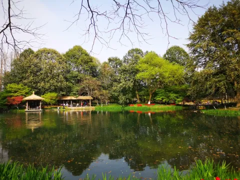 太子湾踏春12