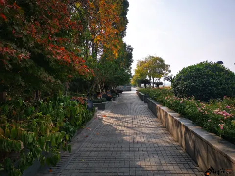 滨江公园一景