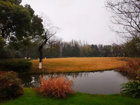 柳浪闻莺18