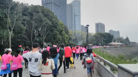 2018最美樱花徒步大会