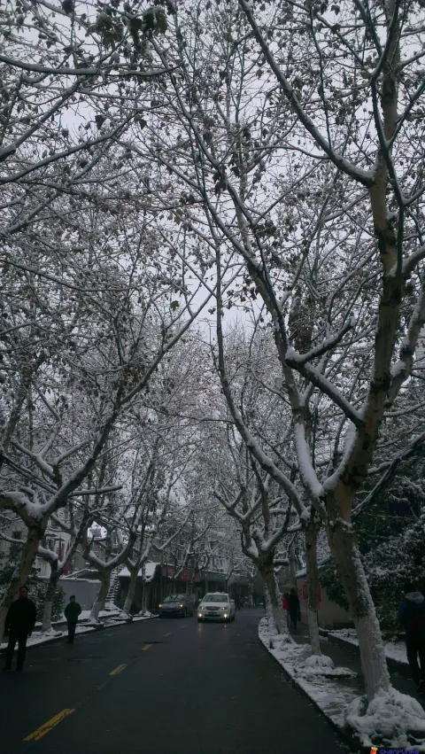 下雪了