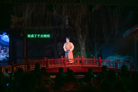 沈园之夜13