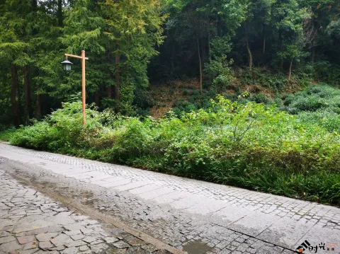 行走九溪十八涧之路
