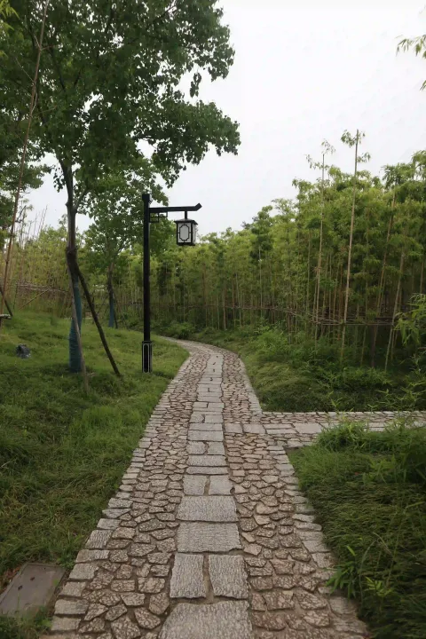 桃花湖公园7