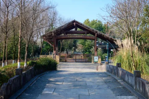 西溪湿地 周家村8