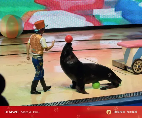 海狮哈哈秀5