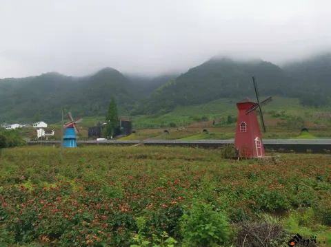 浦江茜溪悠谷