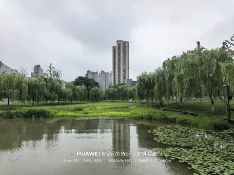 下沙金沙湖公园15