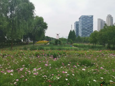 左岸·万国花园