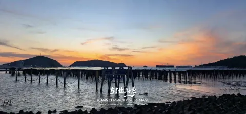 薄刀嘴的黄昏8