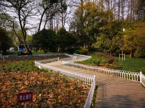 太子湾踏春7