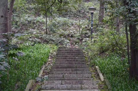 孤山公园13
