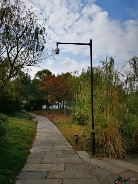 湘湖东岸的人行走道