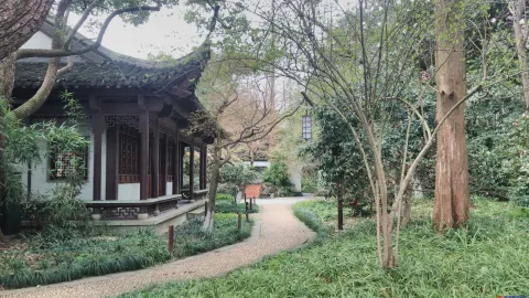 曲院风荷