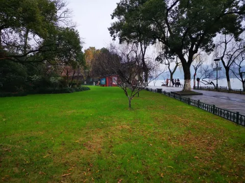 柳浪闻莺20