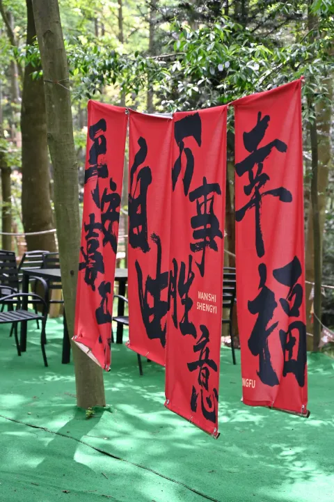 杭州长乐林场6