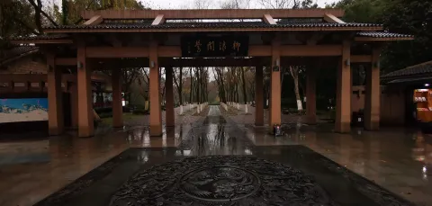 柳浪闻莺1