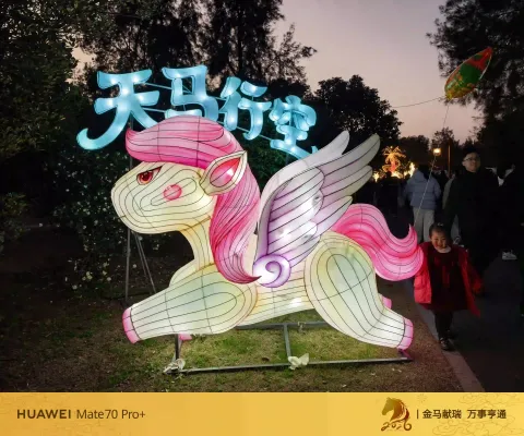 玉环漩门湾农业观光园灯会6