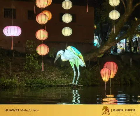 夜色中坐摇橹船赏灯14