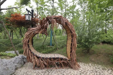 桃花湖公园10