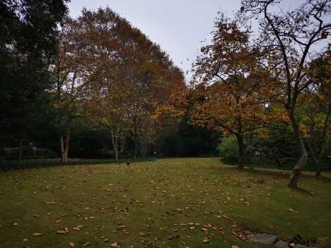西湖，北山街南侧的景色