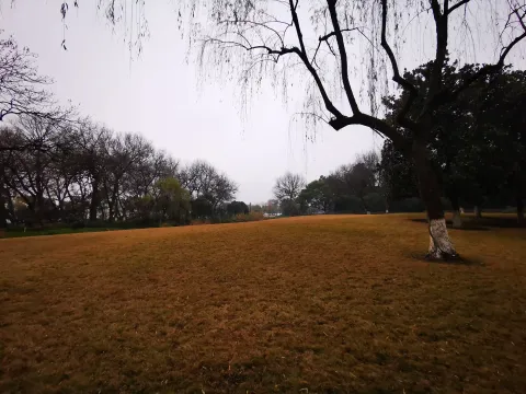 柳浪闻莺28