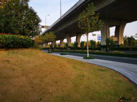 秋季的草地
