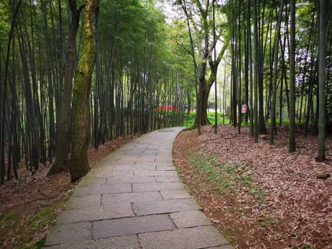五云山40