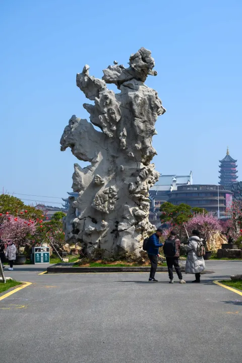 龙之梦东方盆景园17